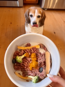 hungry dog with fruit and vegetable bowl