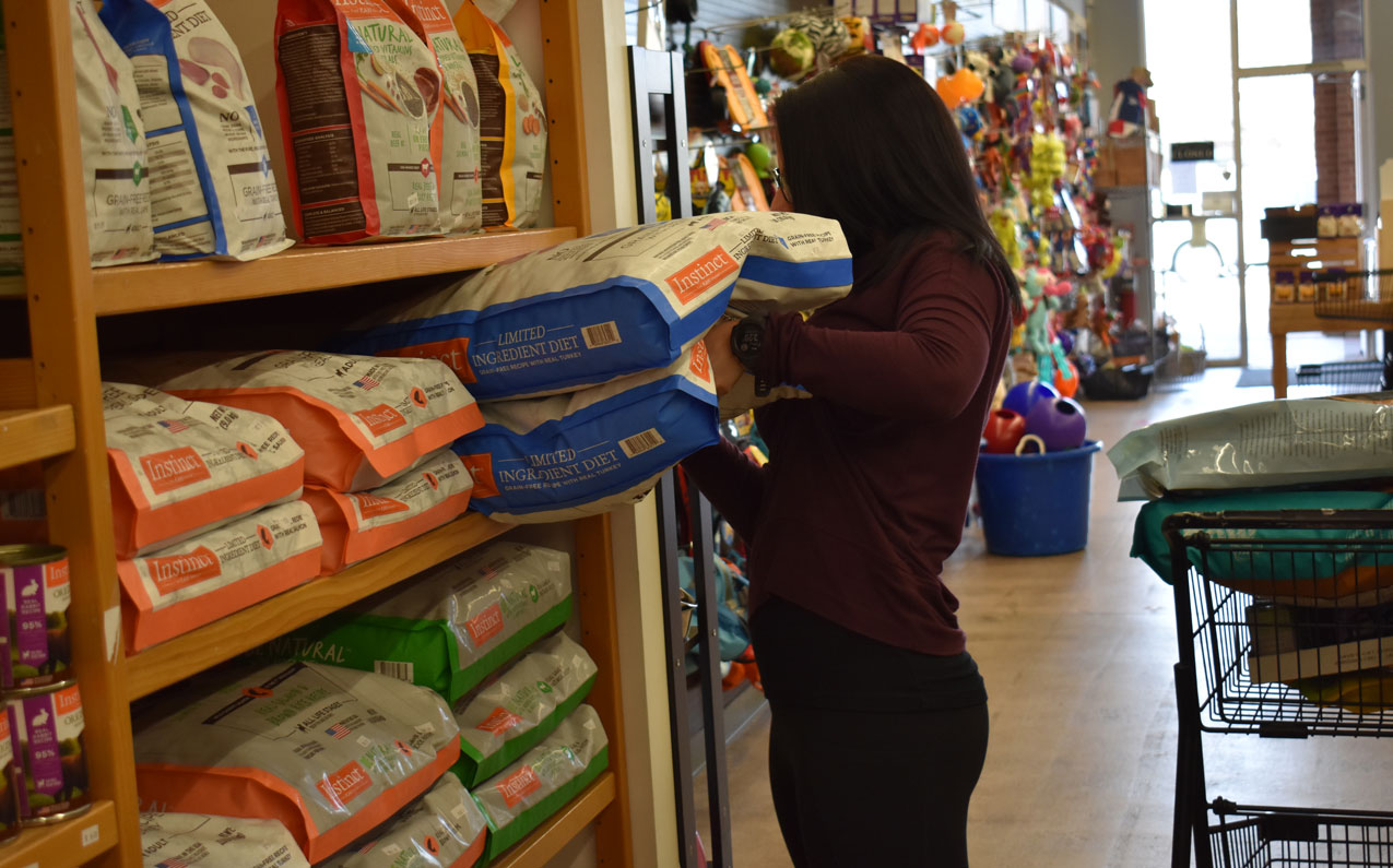 How to Safely Store Dry Food NorthPoint Pets & Company