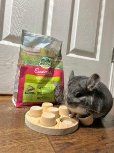 chinchilla nutrition toys