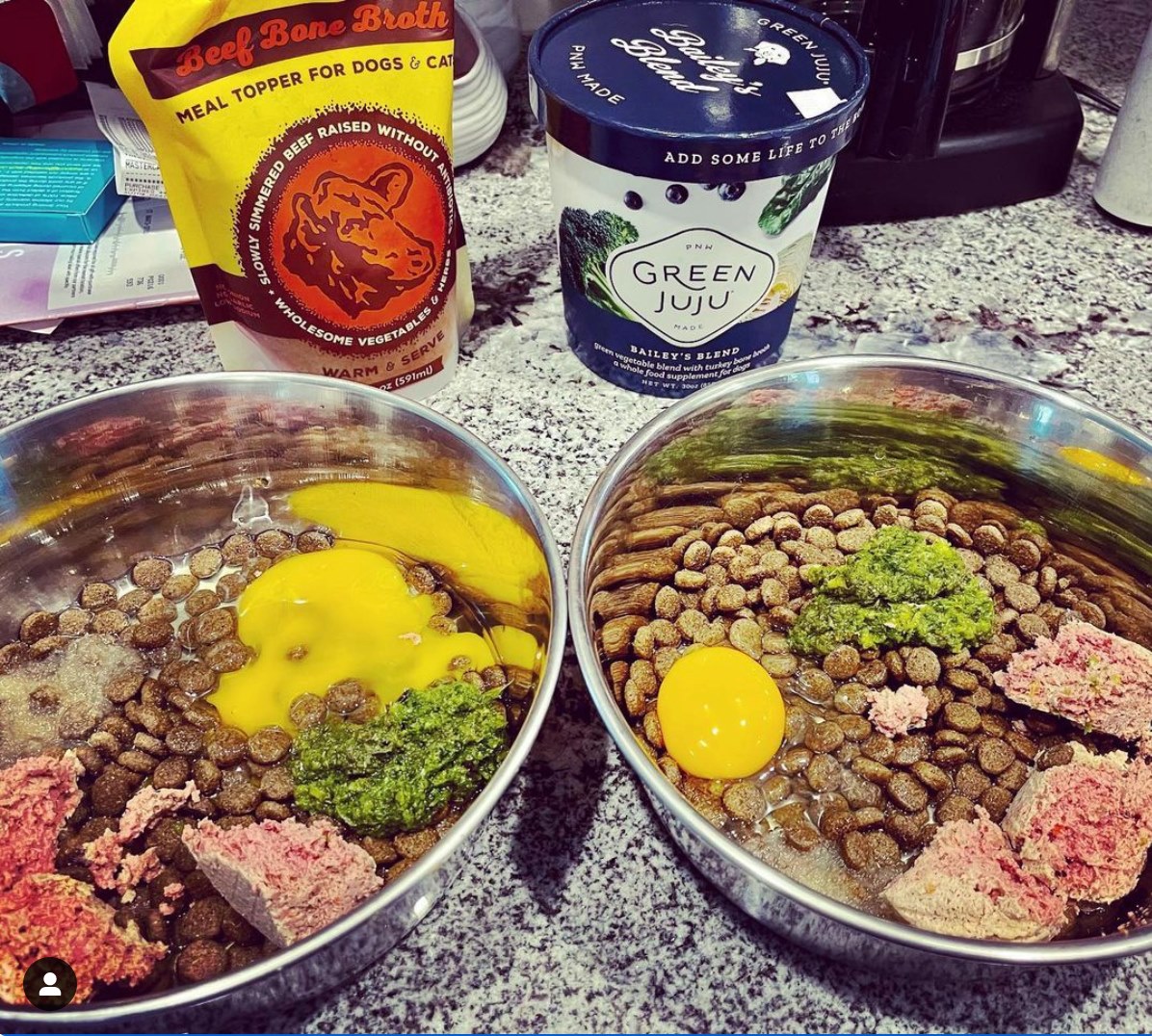 3 Simple Ways to Improve Dry Kibble NorthPoint Pets & Company