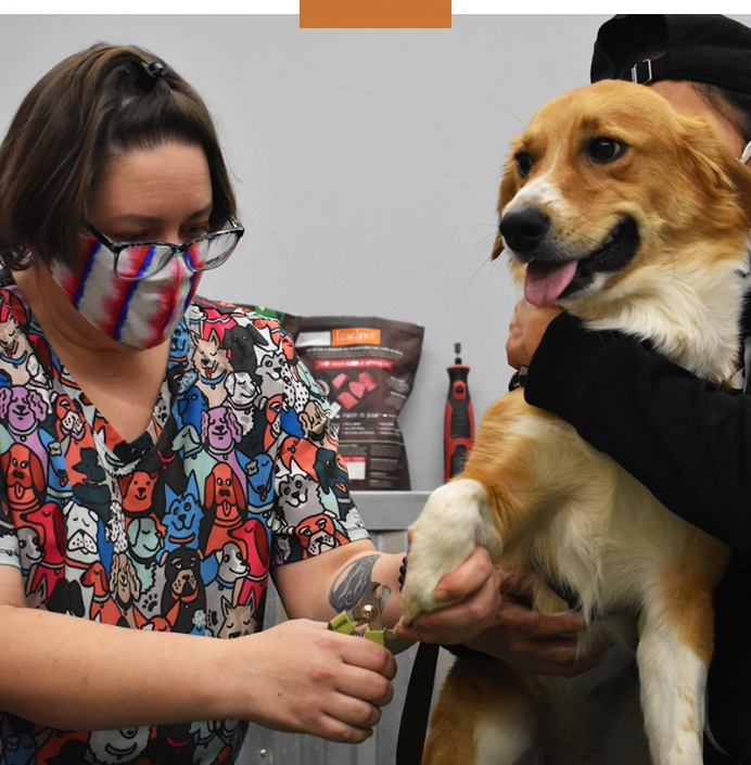 Nail Trims NorthPoint Pets & Company