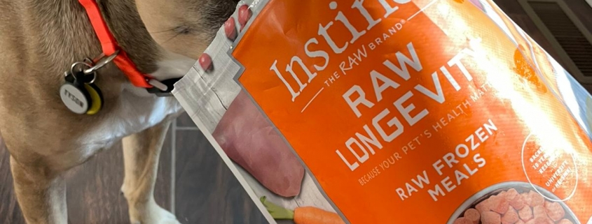 Should My Pet Switch to Raw Food?