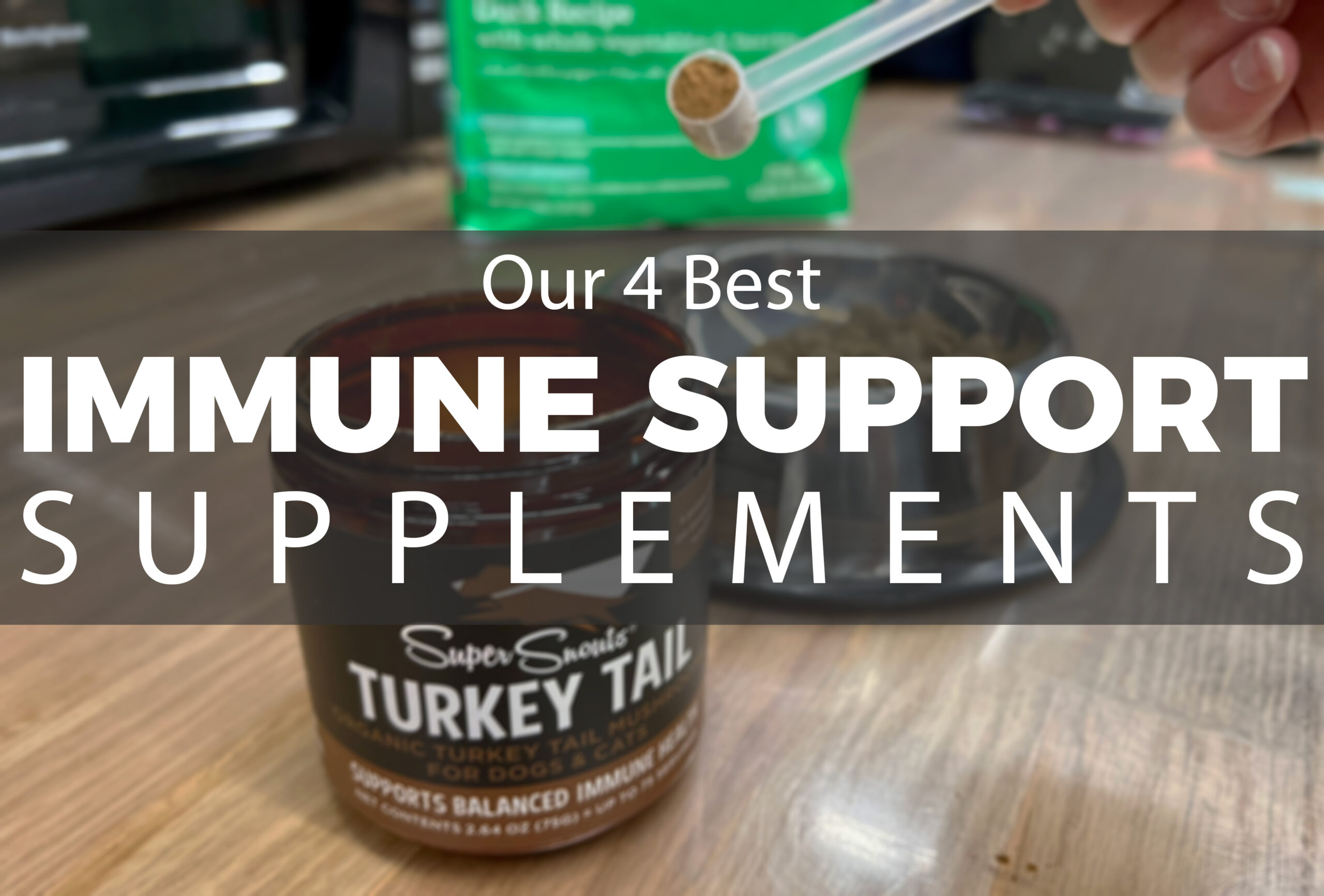 Our Four Best Immune Support Supplements NorthPoint Pets & Company