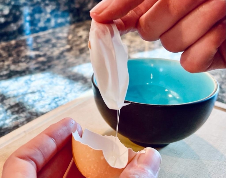 The LittleKnown Benefits of Feeding Eggshell Membranes NorthPoint