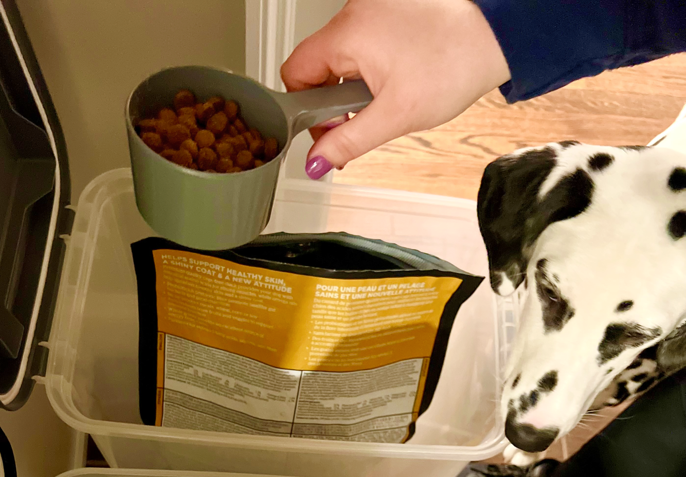 7 Best Dog Food Containers 2023