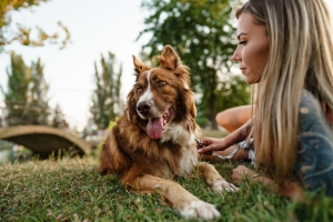 Allergies vs. Sensitivities in pets