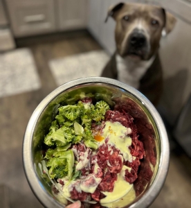 Transition to a Fresh Food Diet for Pets