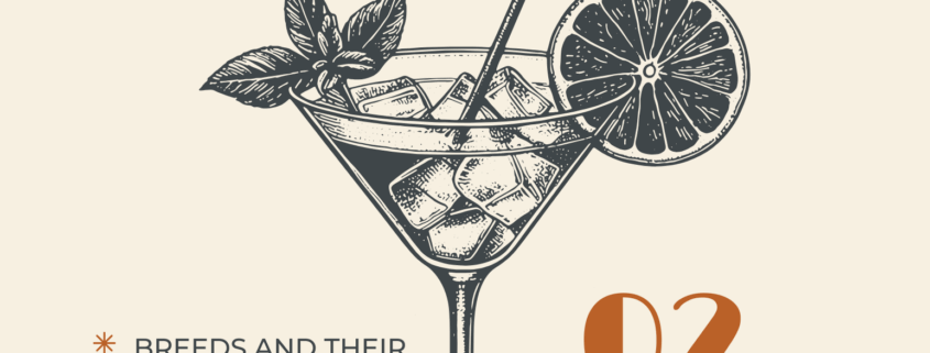 Canines & Cocktails October 2, 6–7PM at NorthPoint Pets, Cheshire CT with Dr. James St. Clair, DVM & CEO