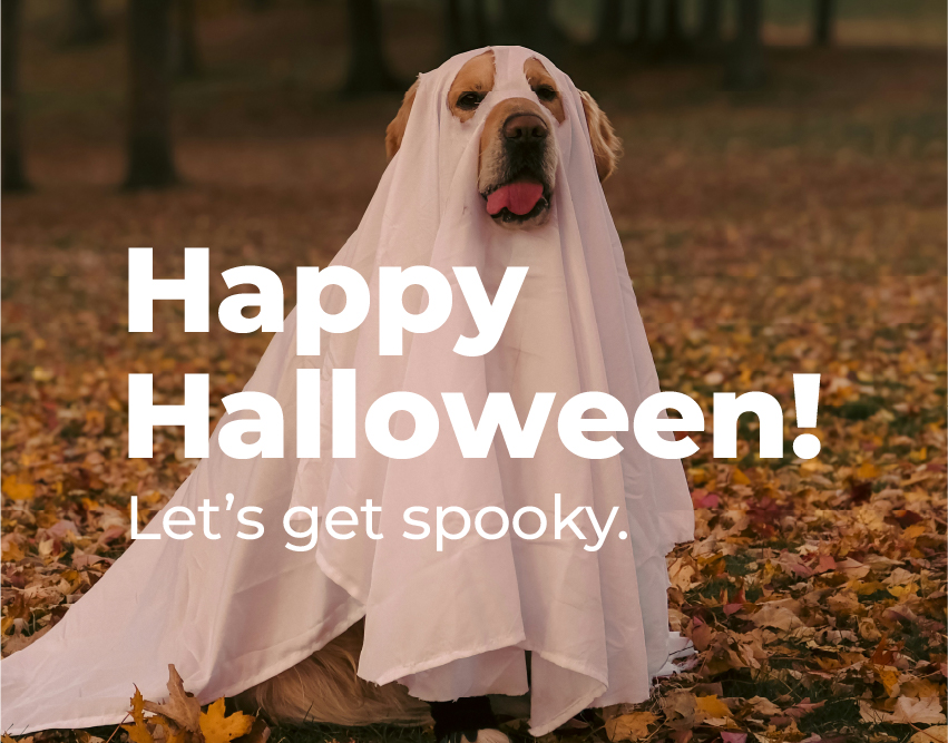 Event flyer for Canines & Cocktails in Cheshire, CT: Oct 2, 6–7 PM with Dr. James St. Clair