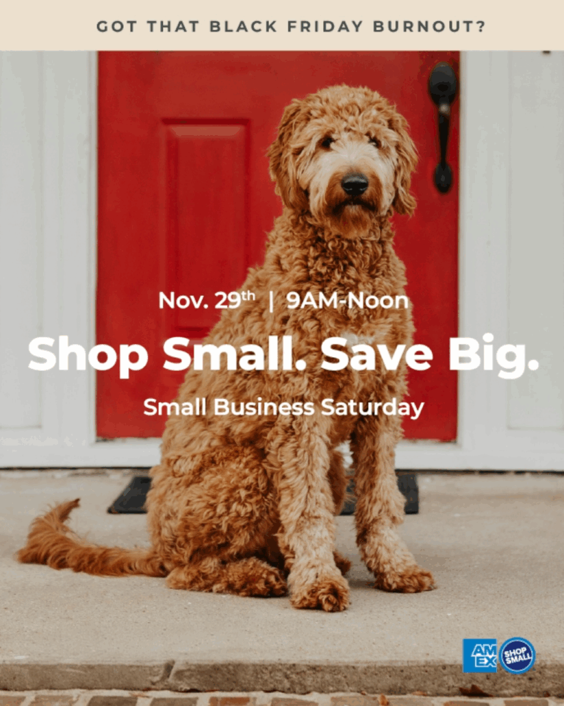 Small Business Saturday sale at NorthPoint Pets with 9AM–Noon savings.