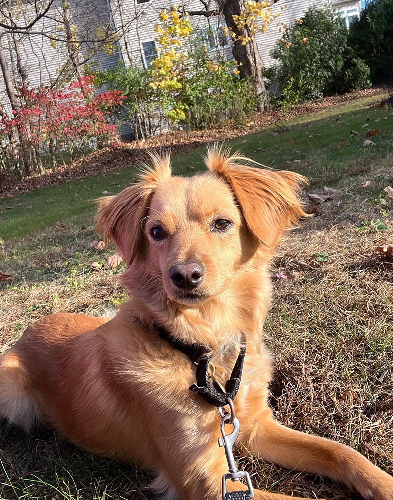 Meet Jill at NorthPoint Pets—one of our friendly team members greeting customers at the front of the store.