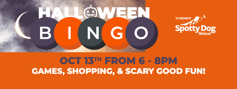 halloween-bingo-banner-mobile-800x300