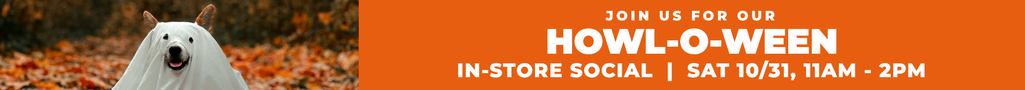npp-howloween-banner-2000x176