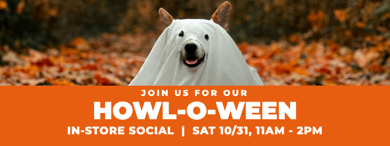 npp-howloween-banner-mobile-800x300