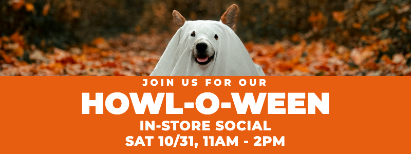 npp-howloween-banner-mobile-800x300