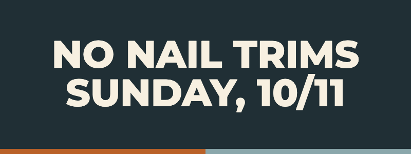 npp-no-nail-trims-1011-banner-mobile-800x300